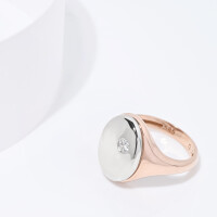 25004-1 Oval Two Tone Signet Ring in 14 Karat Gold with a Diamond at 0,10ct
