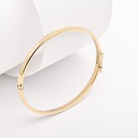 X-1091-3 BANGLE-HINGED